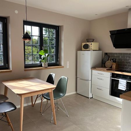 Neubau Im Loft-Stil Mit Grosser Terrasse Lörrach Exteriör bild