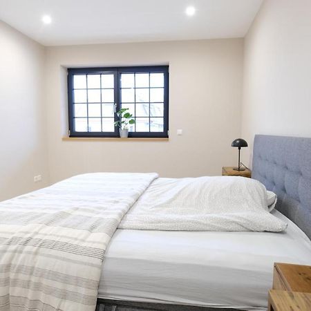 Neubau Im Loft-Stil Mit Grosser Terrasse Lörrach Exteriör bild