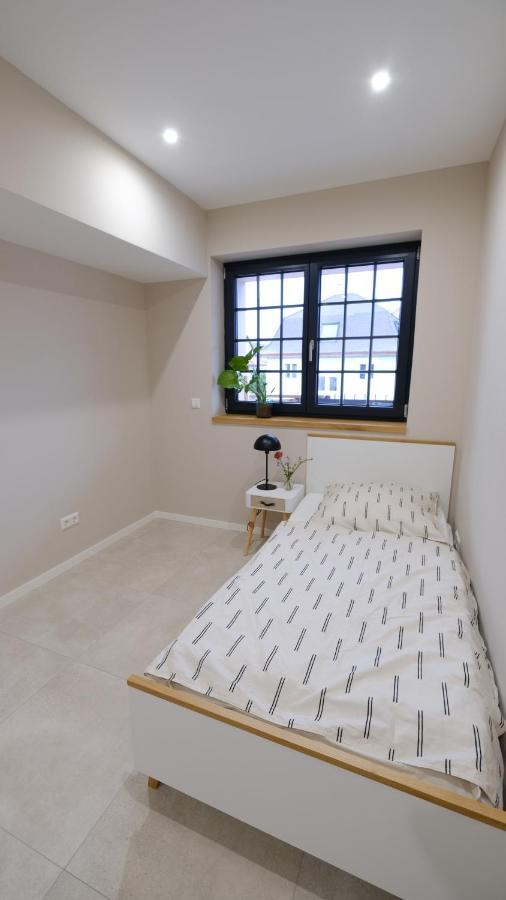 Neubau Im Loft-Stil Mit Grosser Terrasse Lörrach Exteriör bild