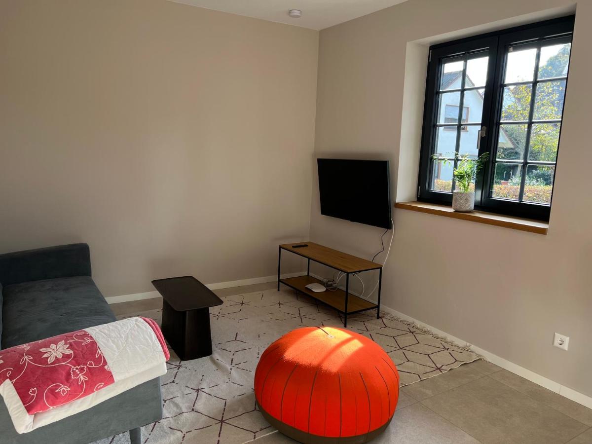 Neubau Im Loft-Stil Mit Grosser Terrasse Lörrach Exteriör bild
